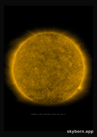 The Sun on 10 February 2020