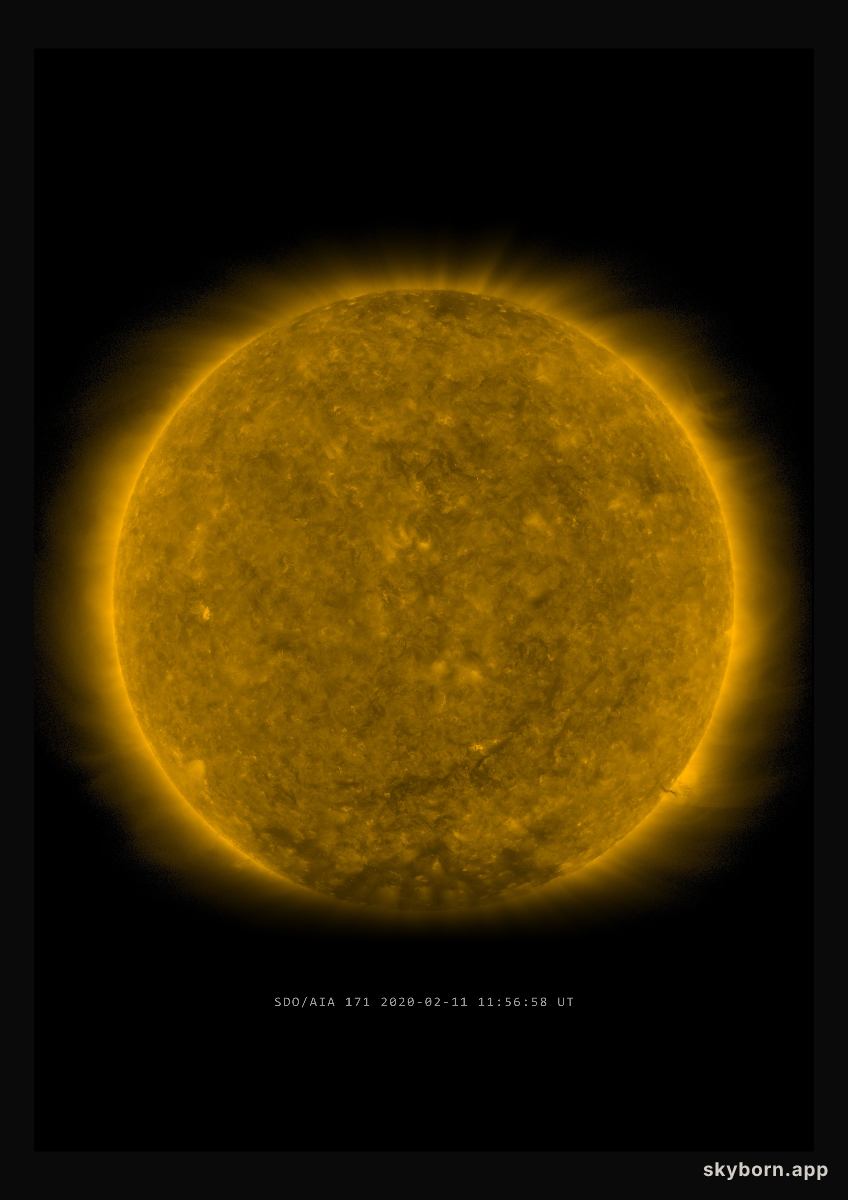 The Sun on 11 February 2020