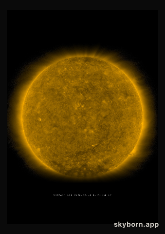 The Sun on 11 February 2020