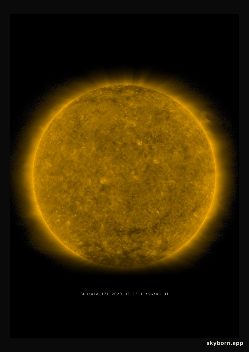 The Sun on 12 February 2020