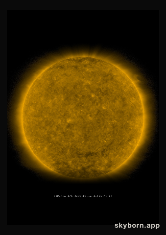 The Sun on 12 February 2020