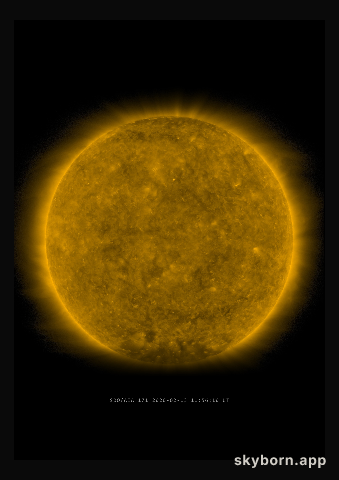 The Sun on 13 February 2020