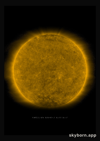 The Sun on 15 February 2020