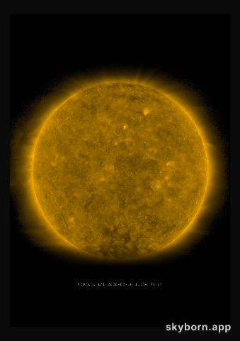 The Sun on 16 February 2020