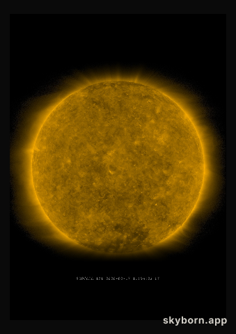 The Sun on 17 February 2020