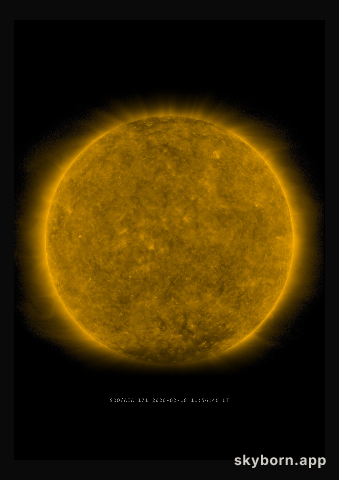 The Sun on 18 February 2020