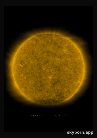 The Sun on 19 February 2020