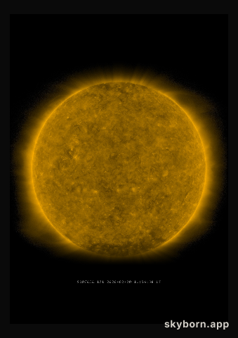 The Sun on 20 February 2020