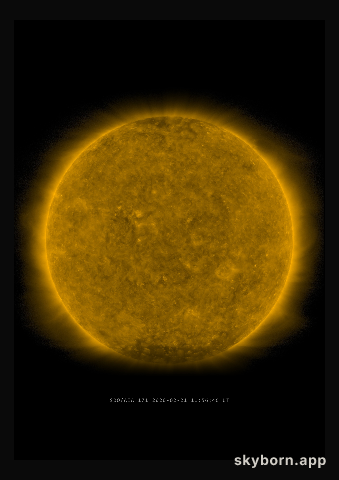 The Sun on 21 February 2020