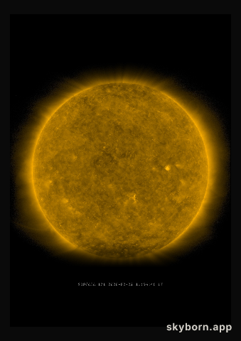 The Sun on 22 February 2020