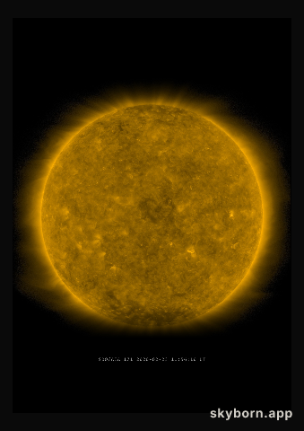 The Sun on 23 February 2020