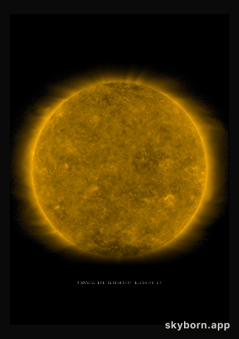 The Sun on 24 February 2020
