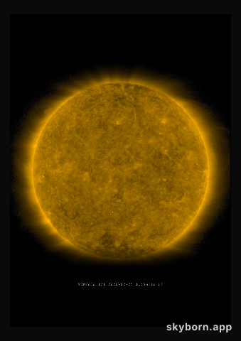 The Sun on 25 February 2020