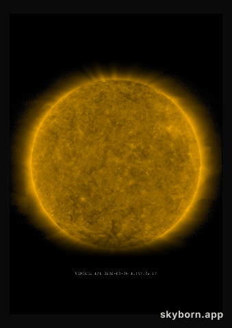 The Sun on 26 February 2020