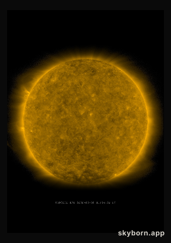 The Sun on 28 February 2020