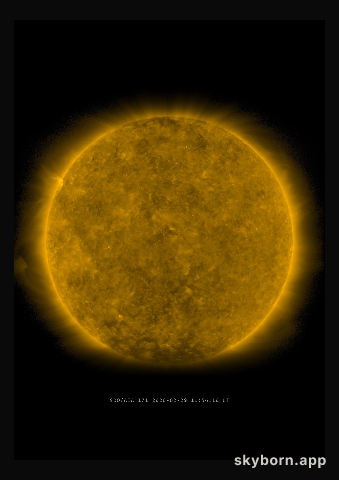 The Sun on 29 February 2020