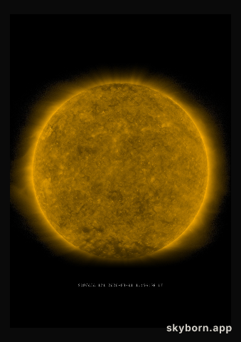 The Sun on 1 March 2020
