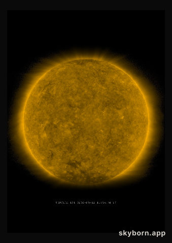 The Sun on 2 March 2020
