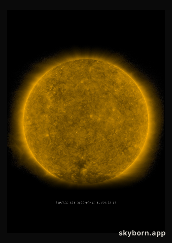 The Sun on 3 March 2020
