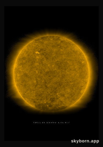 The Sun on 4 March 2020