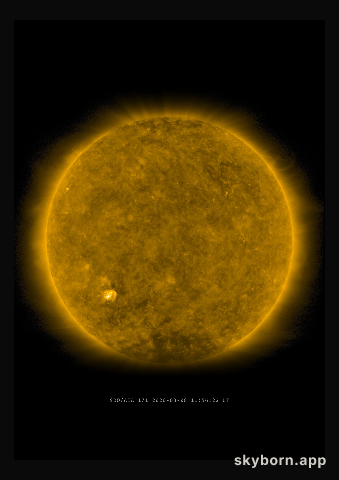 The Sun on 8 March 2020