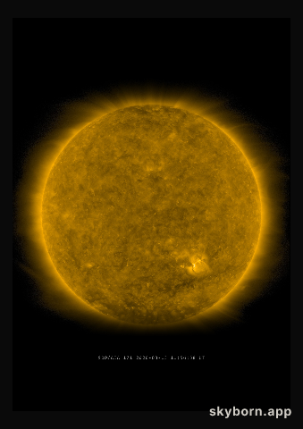 The Sun on 13 March 2020