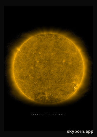The Sun on 16 March 2020