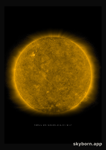 The Sun on 19 March 2020
