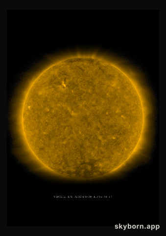 The Sun on 20 March 2020