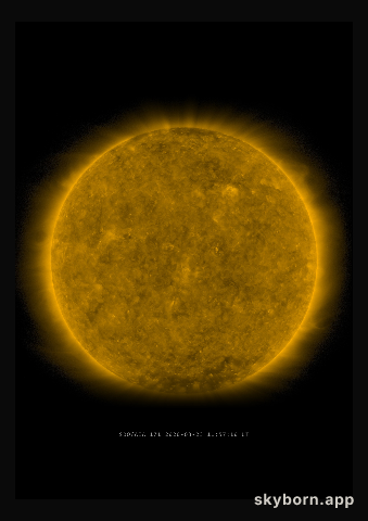 The Sun on 23 March 2020