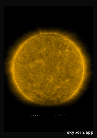 The Sun on 24 March 2020
