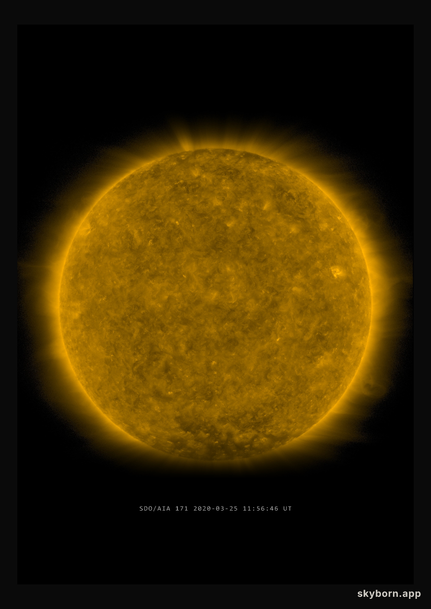 The Sun on 25 March 2020