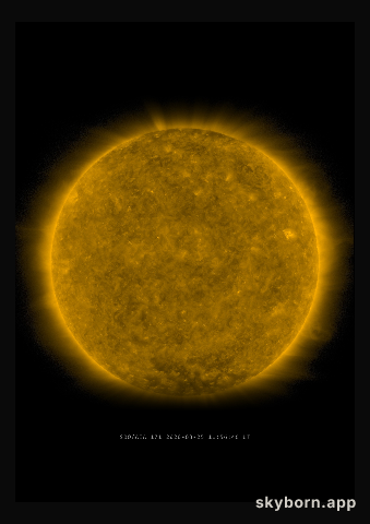 The Sun on 25 March 2020