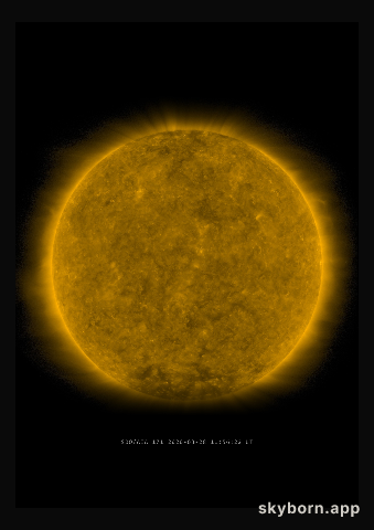 The Sun on 28 March 2020