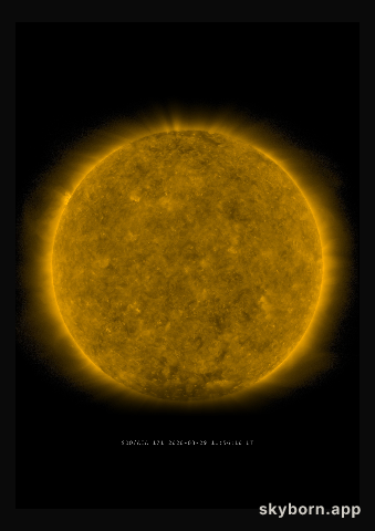 The Sun on 29 March 2020