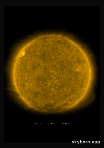 The Sun on 31 March 2020