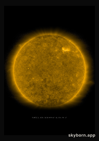 The Sun on 7 April 2020