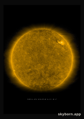 The Sun on 8 April 2020