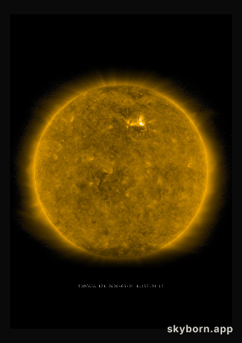 The Sun on 24 May 2020
