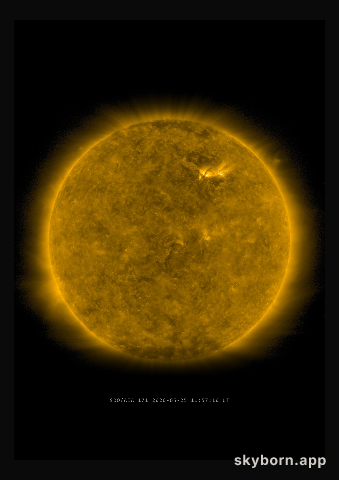 The Sun on 25 May 2020