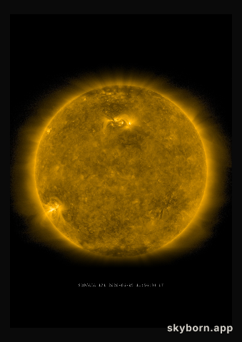 The Sun on 5 June 2020