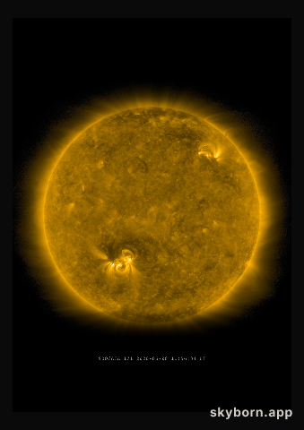 The Sun on 8 June 2020