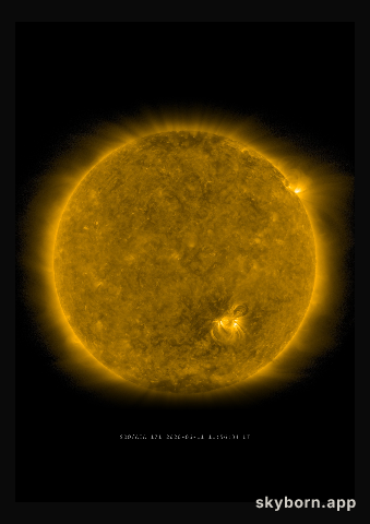 The Sun on 11 June 2020