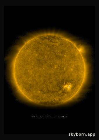 The Sun on 12 June 2020
