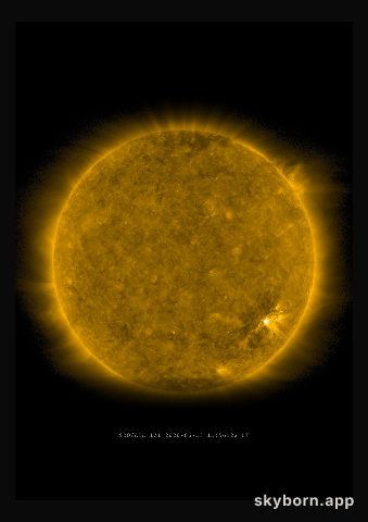 The Sun on 13 June 2020