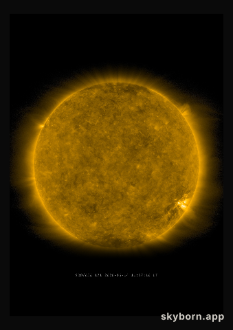 The Sun on 14 June 2020