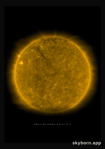 The Sun on 19 June 2020