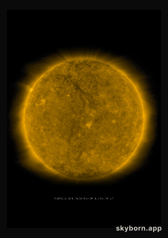 The Sun on 20 June 2020