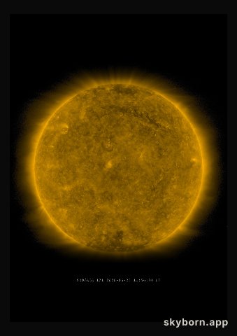 The Sun on 23 June 2020