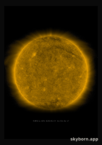 The Sun on 24 June 2020